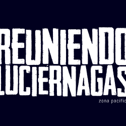 Salón Regional de Artistas del Pacífico: Reuniendo Luciérnagas